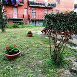 Appartamento Casa Magnolia: Indipendente Con Giardino Castiglione del Lago